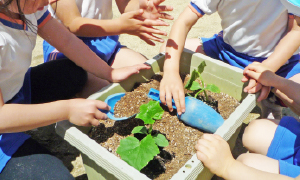 年間行事4月イメージ