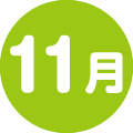 11月