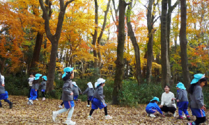 年間行事11月イメージ